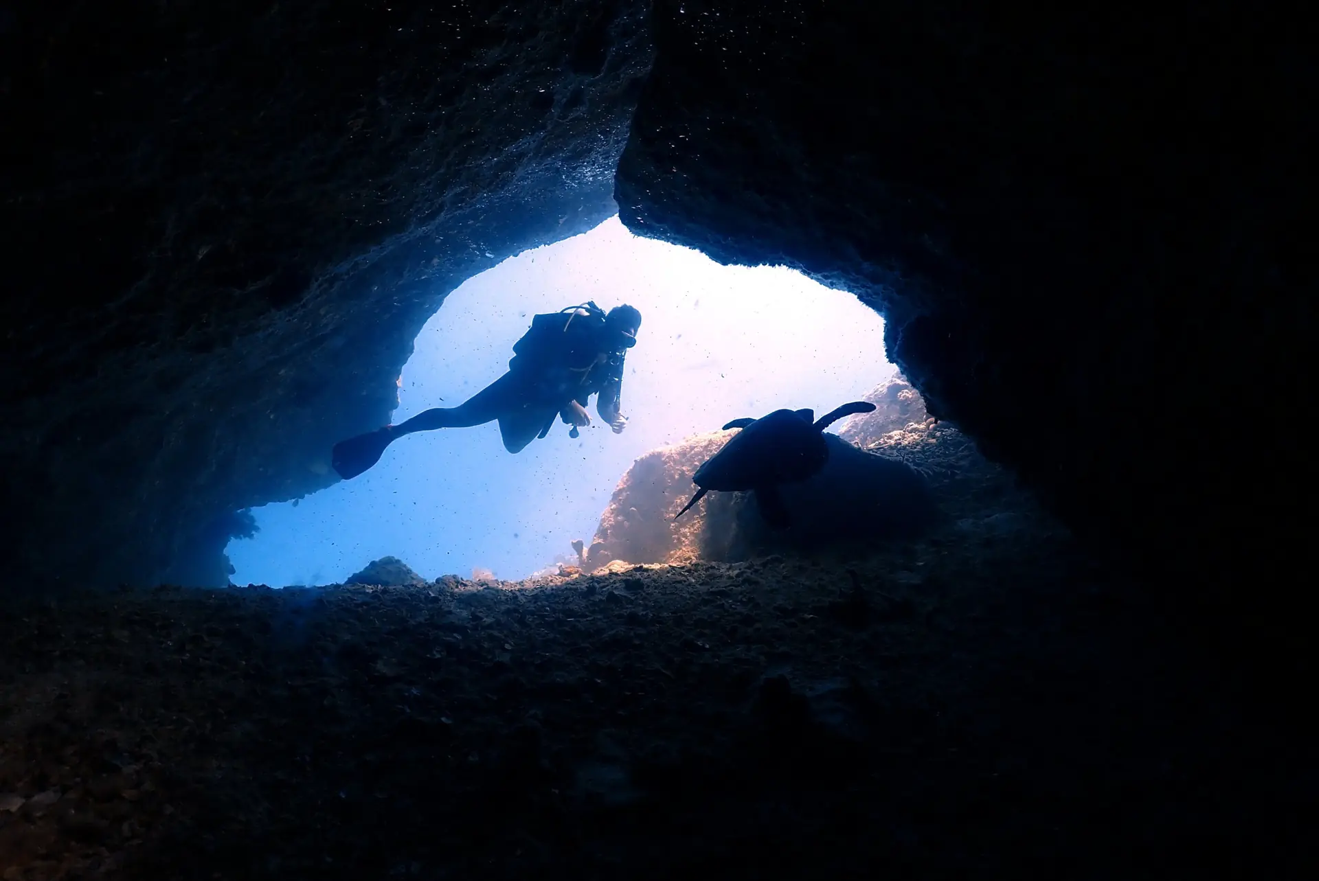 Gerald en plongée, vu depuis une grotte, avec une tortue qui passe